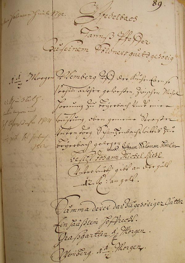 Eintrag im Gültbuchbuch von 1684 Bd.83 Fol.89