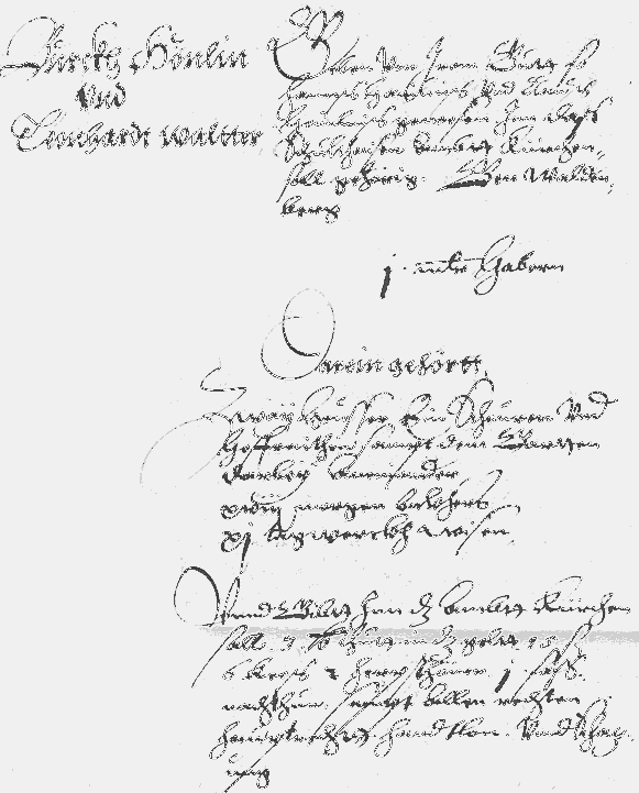 Gnadentaler Lagerbuch zu Büchelberg von 1604-1605